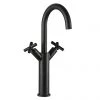 JTP Solex Matt Black Tall Swivel Spout Basin Mixer